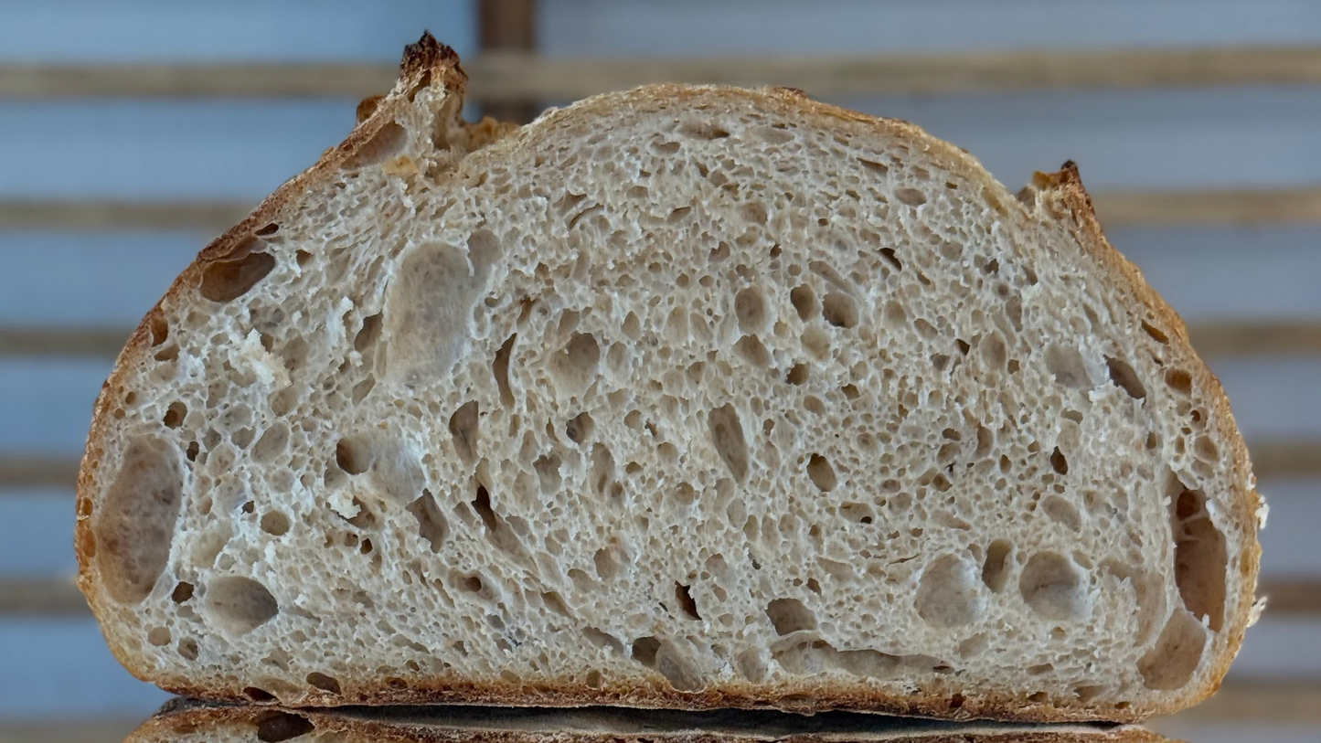 Dehydrated Sourdough Starter