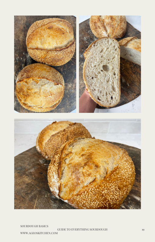 Sourdough Bread Guide