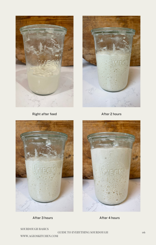 Sourdough Bread Guide